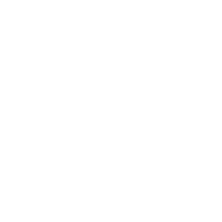 ico 1