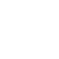 ico 2