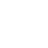 ico 3