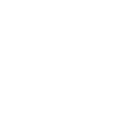 ico 4