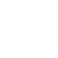 ico 5
